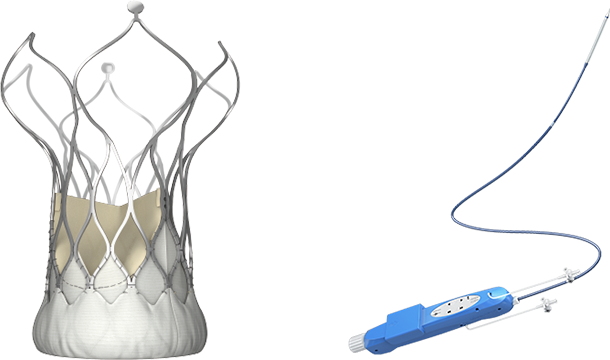 經(jīng)導(dǎo)管主動(dòng)脈瓣膜系統(tǒng)