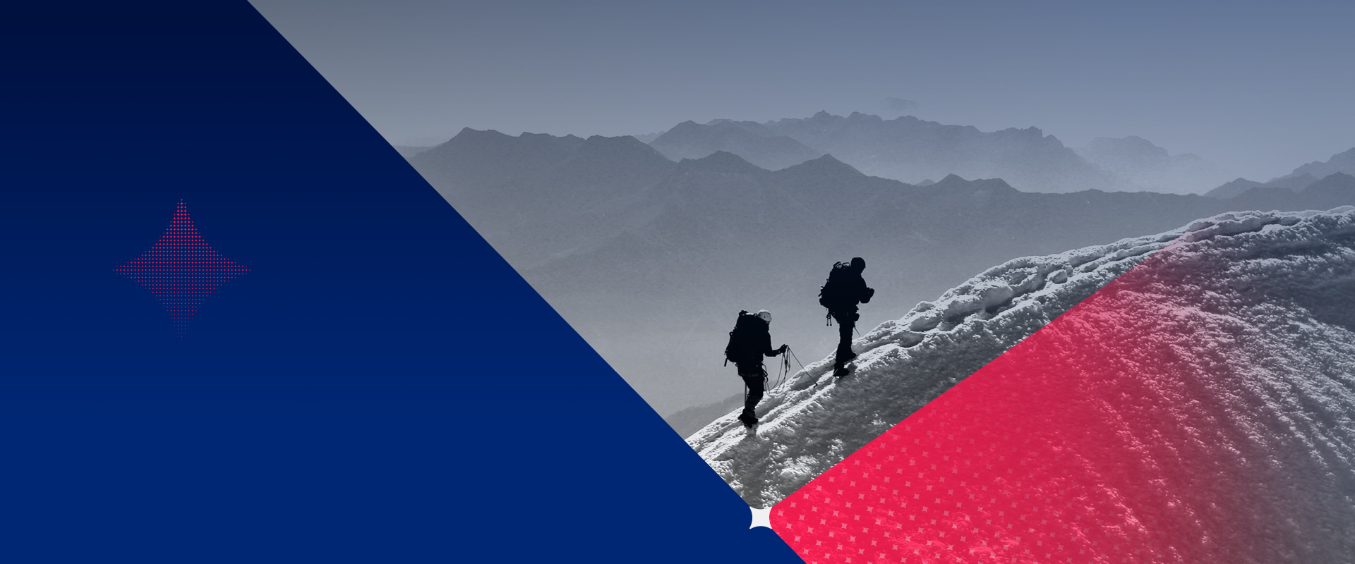 關(guān)于鉑萊國際