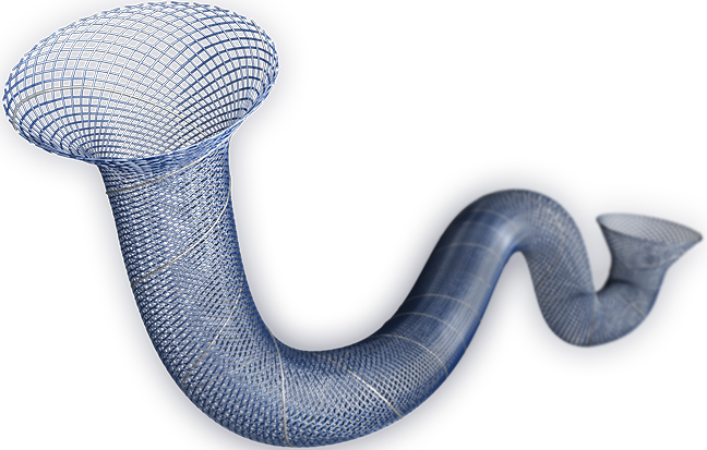 血流導(dǎo)向密網(wǎng)支架