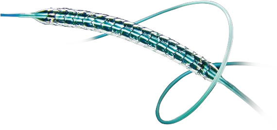 冠脈雷帕霉素洗脫鈷基合金支架系統(tǒng)