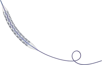 冠脈雷帕霉素靶向洗脫鈷基合金支架系統(tǒng)