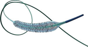 冠脈雷帕霉素靶向洗脫支架系統(tǒng)