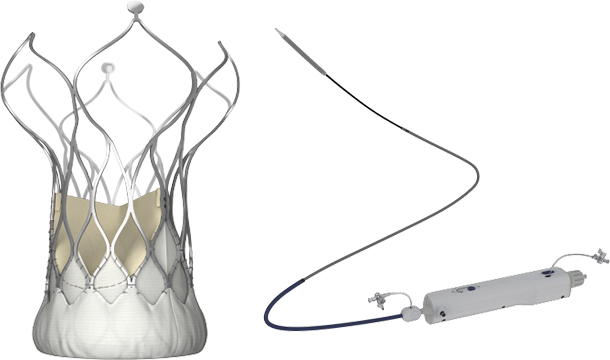 經(jīng)導(dǎo)管主動脈瓣膜及可回收輸送系統(tǒng)