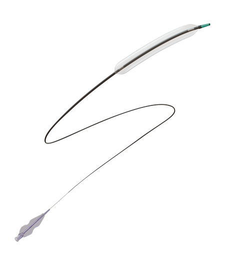 頸動脈球囊擴張導管