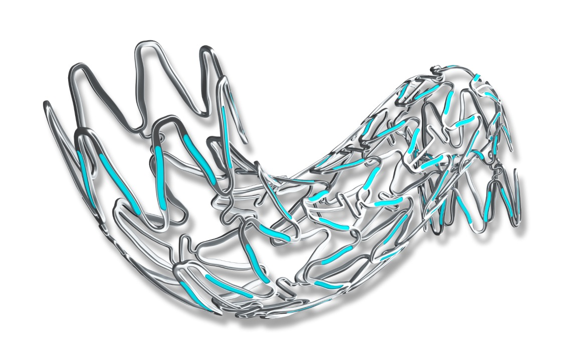 椎動(dòng)脈雷帕霉素靶向洗脫支架系統(tǒng)