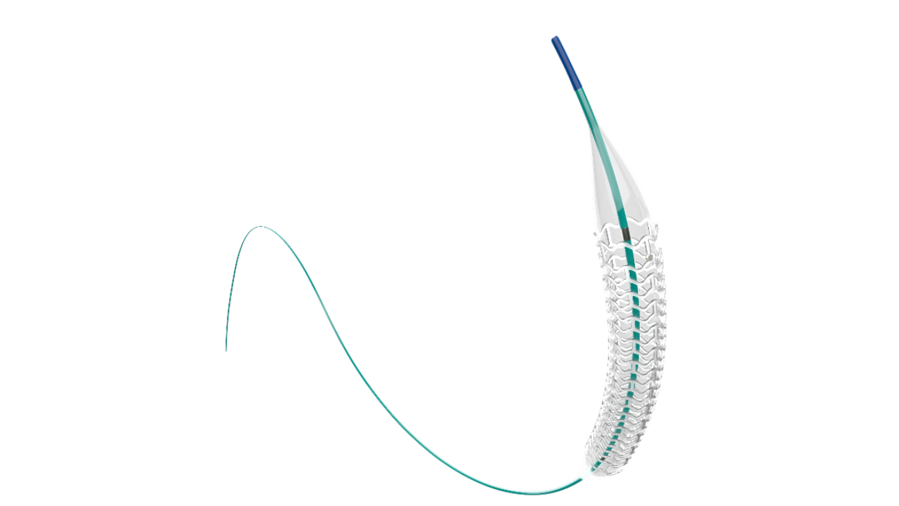 生物可吸收雷帕霉素洗脫冠脈支架系統(tǒng)