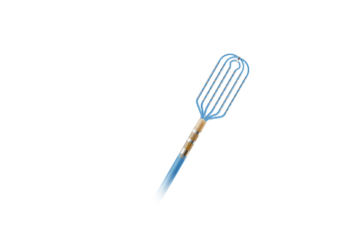 一次性使用網(wǎng)狀高密度標(biāo)測(cè)導(dǎo)管