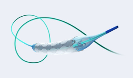 覆膜支架血管腔內(nèi)隔絕術(shù)