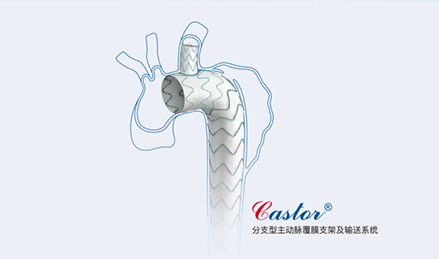 主動(dòng)脈及外周疾病整體治療方案